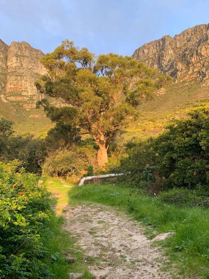 Mountain And Ocean Daire Cape Town Dış mekan fotoğraf